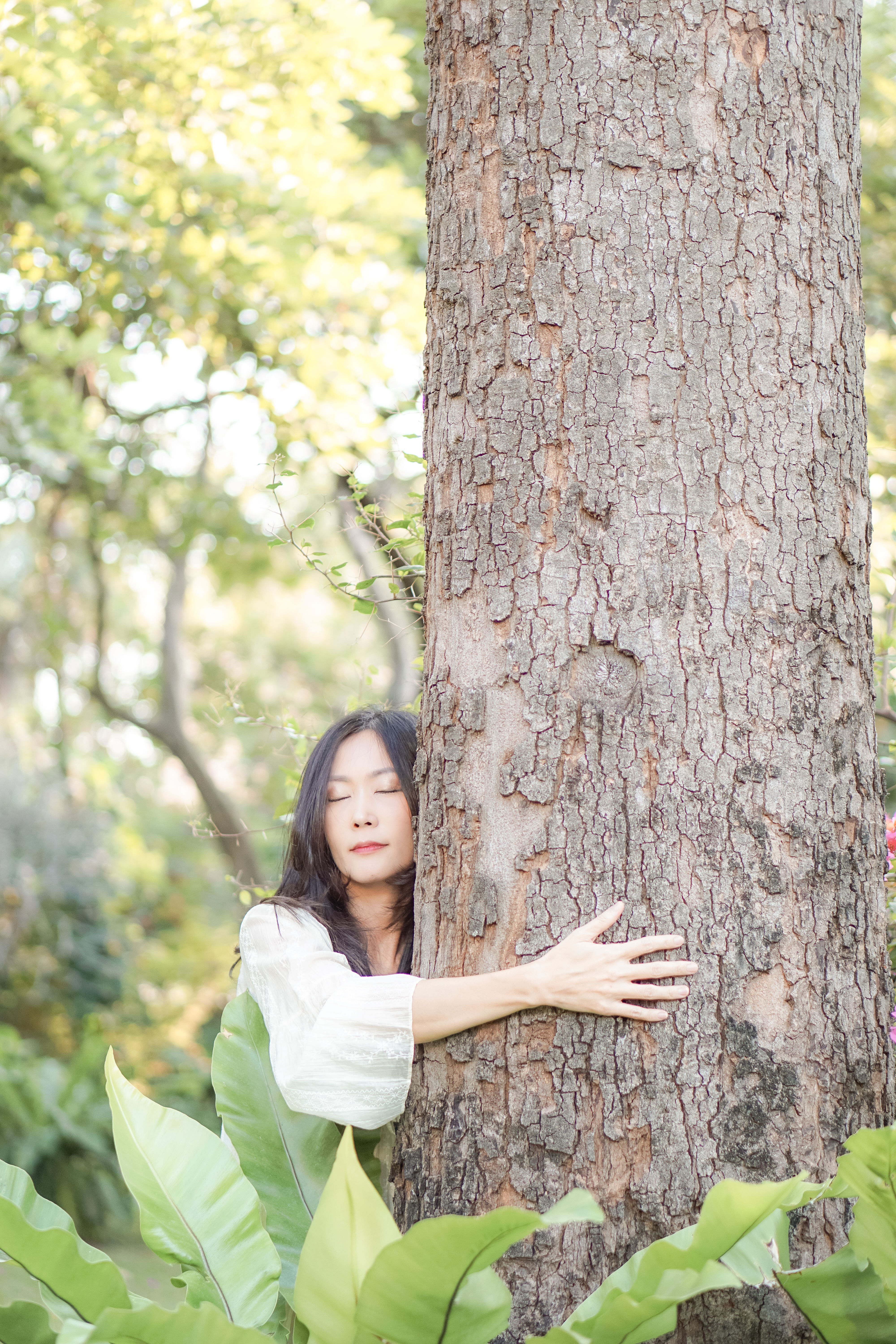 Connect to Nature อาบป่าและคลื่นเสียง